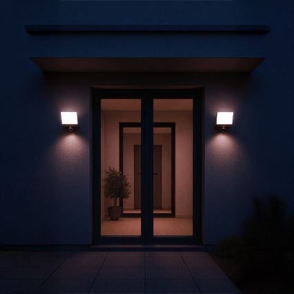 Proiettore LED con sensore di movimento e sensore crepuscolare DAVOS LED/30W/230V IP54 nero