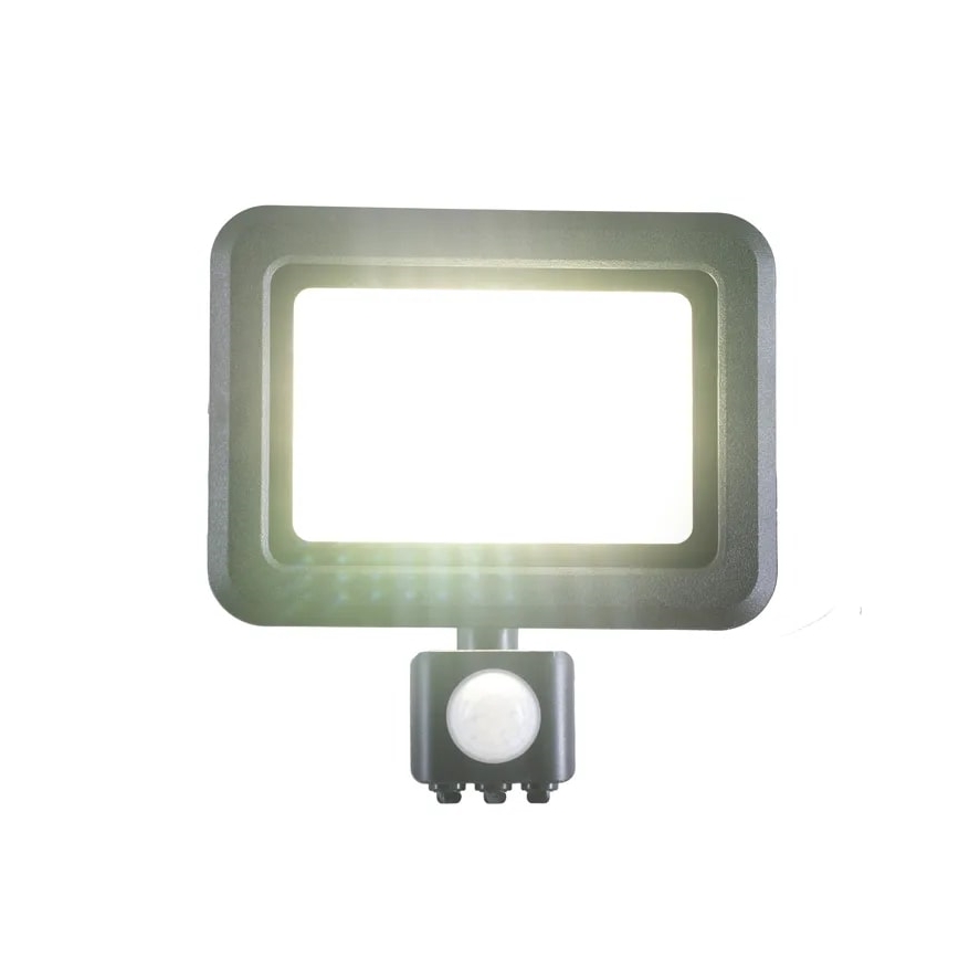 Proiettore LED con sensore LED/30W/230V 4000K IP44