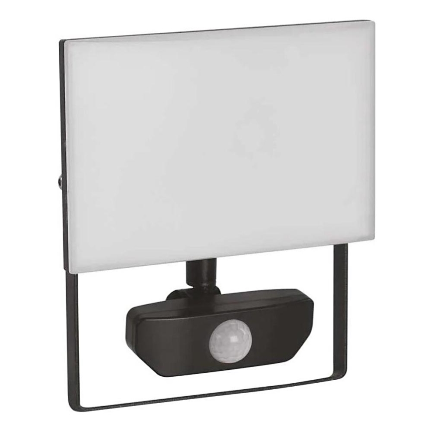 Projecteur avec détecteur TAMBO LED/30W/230V 4000K IP54