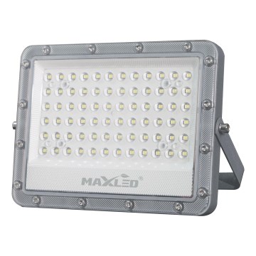 Projecteur extérieur LED/100W/230V 5000K IP65 gris