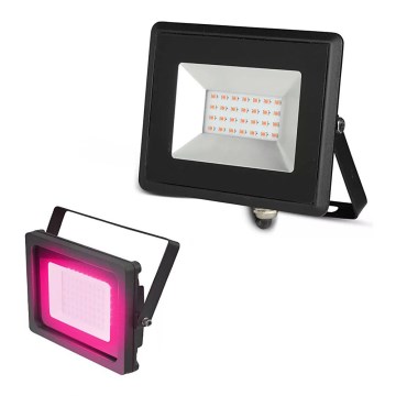 Projecteur LED/20W/230V IP65 lumière rose