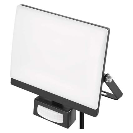 Projecteur LED avec détecteur de mouvement et cellule crépusculaire TAMBO EVO LED/30W/230V 4000K IP44 noir