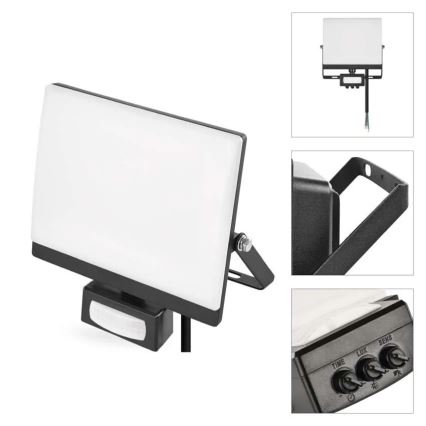 Projecteur LED avec détecteur de mouvement et cellule crépusculaire TAMBO EVO LED/30W/230V 4000K IP44 noir