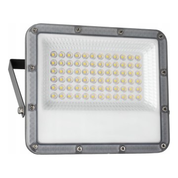 Projecteur LED d'extérieur 50W/230V 4500K IP65 gris