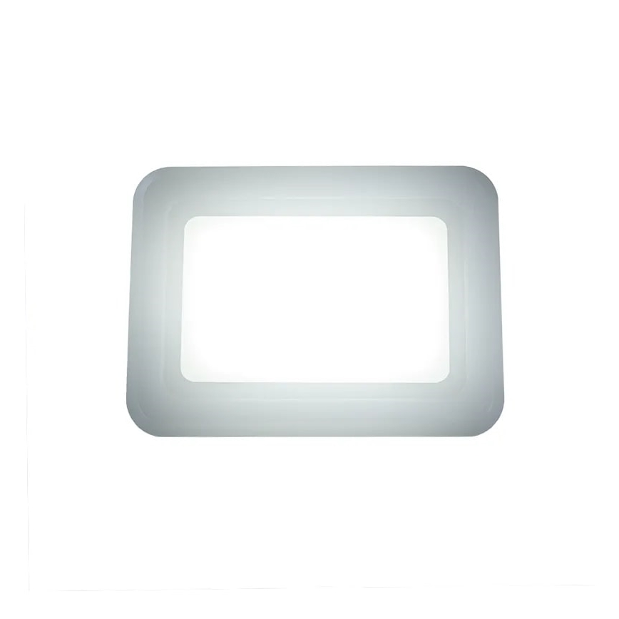 Projecteur LED LED/50W/230V 4000K IP65
