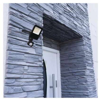 Projecteur LED avec capteur VISIO LED/20W/230V 4000K IP65