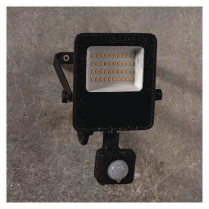 Projecteur LED avec capteur VISIO LED/20W/230V 4000K IP65