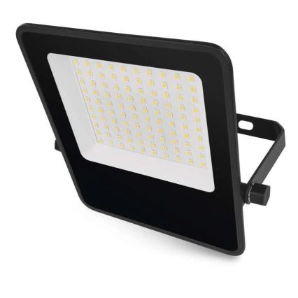 Projecteur VISIO LED/50W/230V 4000K IP65