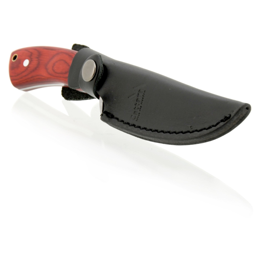 Pugnale con fodero in pelle 21 cm
