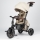 QPlay - Kinder-Dreirad 7-in-1 COMFO MAX beige
