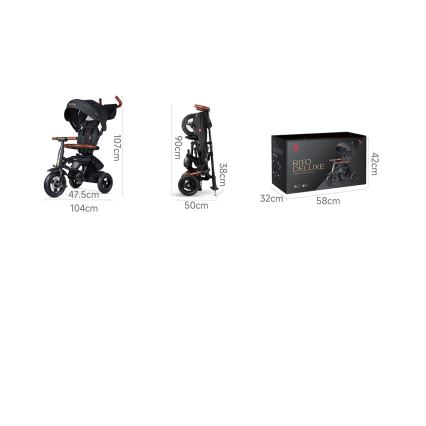 QPlay - Triciclo per bambini 6 in 1 RITO DELUXE grigio