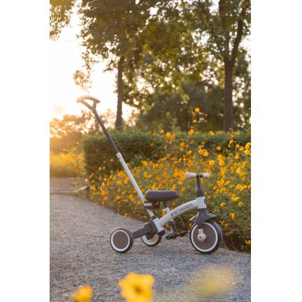 QPlay - Tricycle 3 en 1 STAGER vert