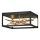 Quintiesse - Plafoniera LED STYX LED/8W/230V nera/dorata