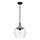 Quoizel - Lampadario a sospensione con supporto rigido ROYER 1xE27/60W/230V diametro 30,2 cm limpido/nero/beige