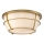 Quoizel - Plafoniera da bagno CHANCE 2xE27/60W/230V IP44