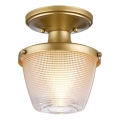 Quoizel - Plafoniera da bagno DUBLIN 1xE27/40W/230V IP44 oro
