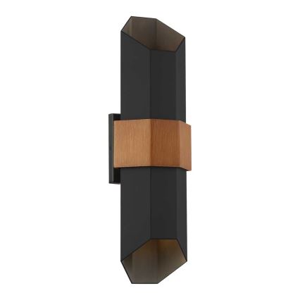 Quoizel - Luminaire extérieur CHASM 2xLED/9,5W/230V IP44