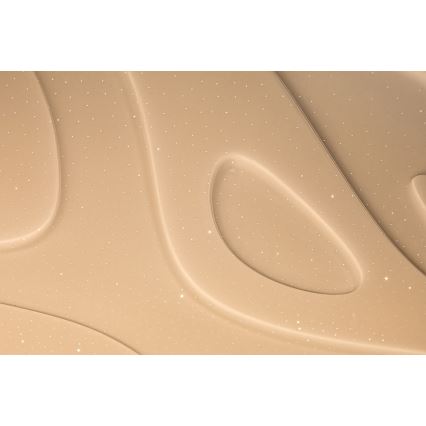 Rabalux - Plafoniera LED dimmerabile telecomandata LED/50W/230V