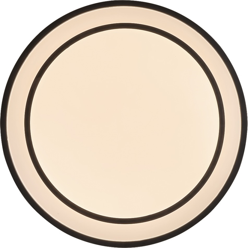 Rabalux - Plafonnier LED dimmable LED/40W/230V 3000-6500K noir Ø 49 cm + télécommande