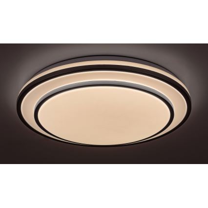 Rabalux - Plafoniera LED dimmerabile, 40 W, 230 V, 3000–6500 K, finitura argento, Ø 49 cm, con telecomando