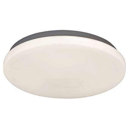 Rabalux 2284 - LED Deckenleuchte ROB 1xLED/20W/230V