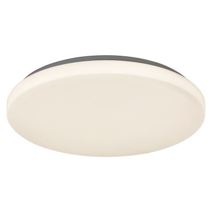 Rabalux - Plafoniera LED/32W/230V Ø 38 cm