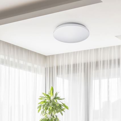Rabalux - Plafonnier LED 32 W / 230 V / Ø 38 cm
