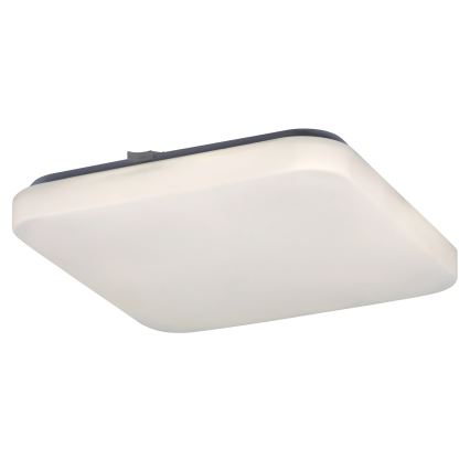 Rabalux - Plafonnier LED 1xLED/20W/230V