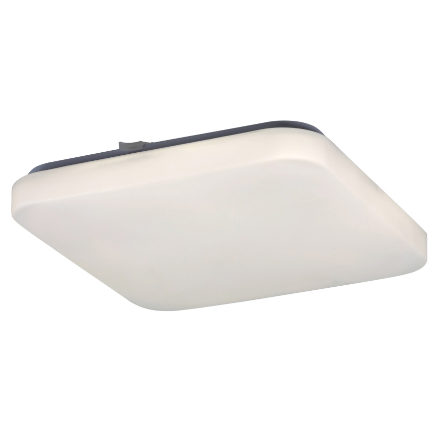Rabalux - Plafonnier LED 1xLED/20W/230V