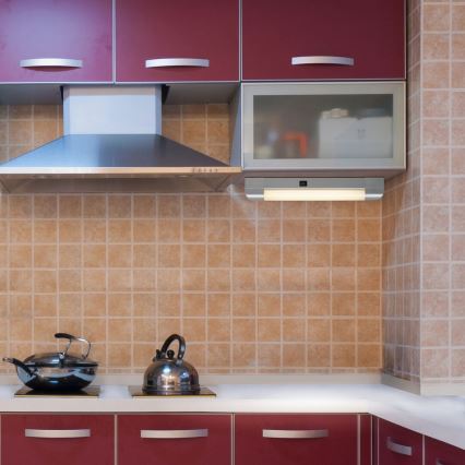 Rabalux - Réglette de cuisine BAND LIGHT 1xG13/10W/230V 39,5 cm argent