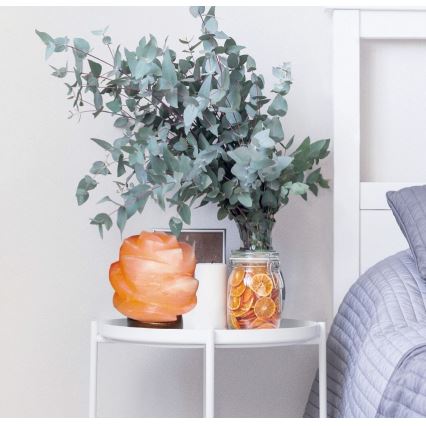 Rabalux - Lampada al sale 1xE14/15W/230V acacia 3,5 kg