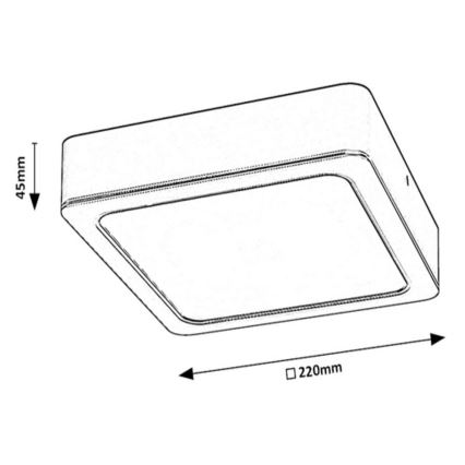 Rabalux - LED Deckenleuchte LED/24W/230V 22x22 cm