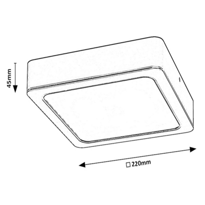 Rabalux - Plafoniera LED LED/24W/230V 22x22 cm