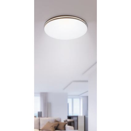 Rabalux 2763 - Plafoniera LED OSCAR 1xLED/18W/230V