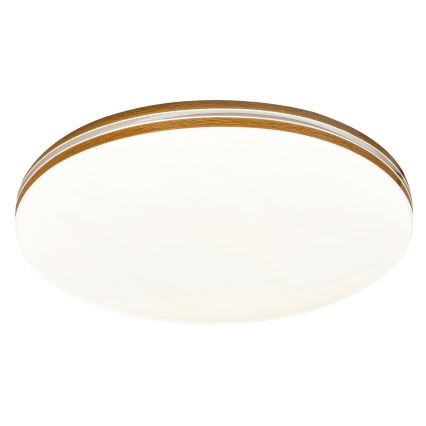 Rabalux 2763 - Plafoniera LED OSCAR 1xLED/18W/230V