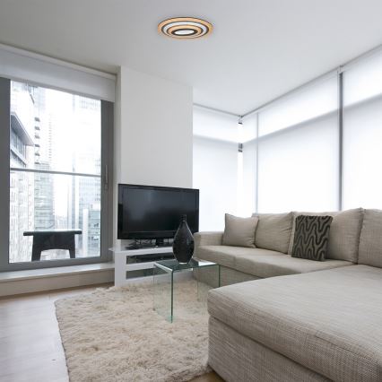 Rabalux - Plafoniera LED dimmerabile LED/41W/230V + telecomando Ø 53 cm