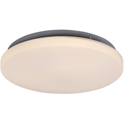 Rabalux - Plafonnier LED LED/20W/230V