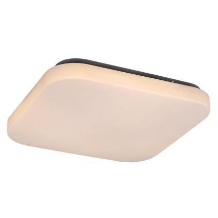 LED Deckenleuchte ROB LED/20W/230V