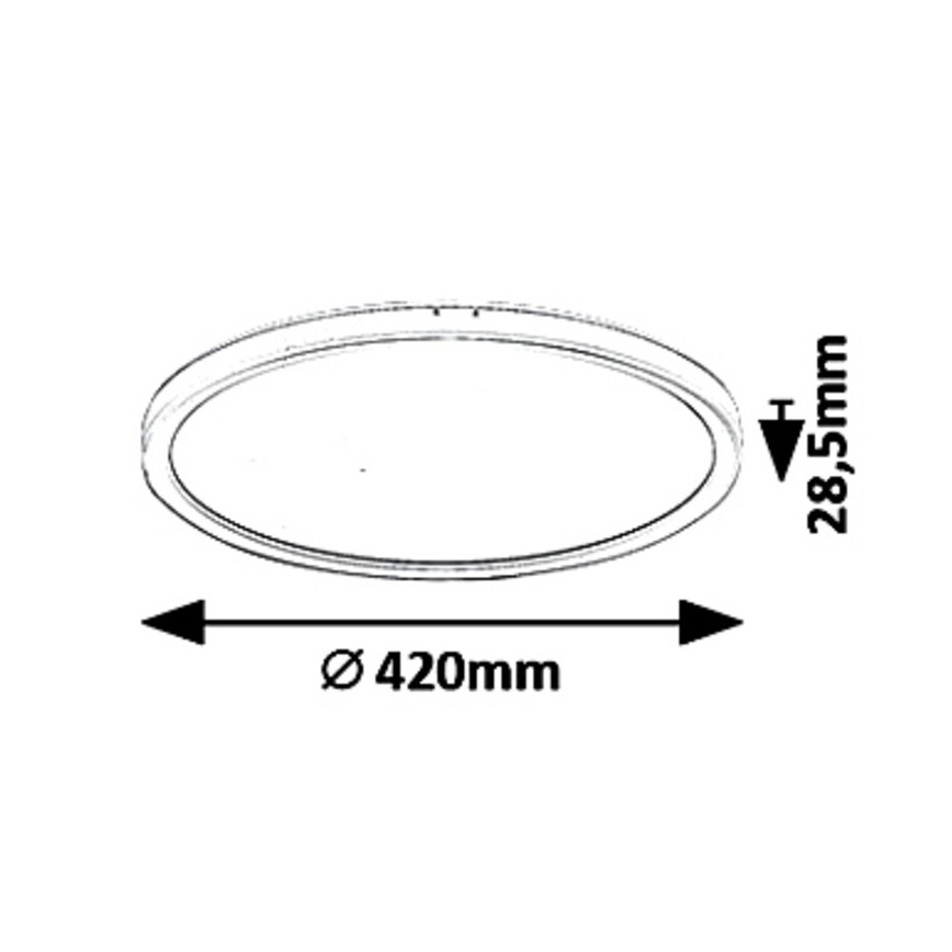 Plafoniera LED dimmerabile PAVEL LED/22W/230V