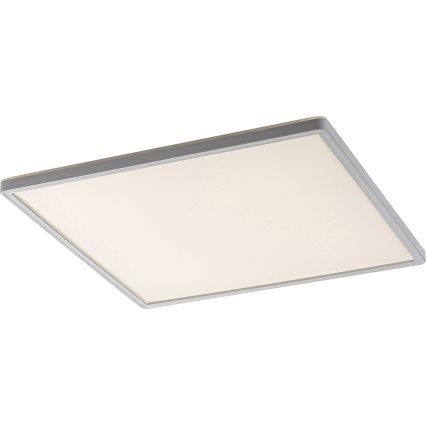 Rabalux - Plafonnier LED dimmable LED/22W/230V 42x42 cm