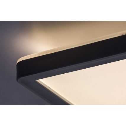 Rabalux - Plafonnier LED dimmable LED/22W/230V 42x42 cm