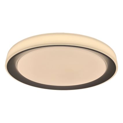Rabalux - Plafoniera LED RGB dimmerabile LED/40W/230V 2700-6500K Wi-Fi Tuya  + telecomando