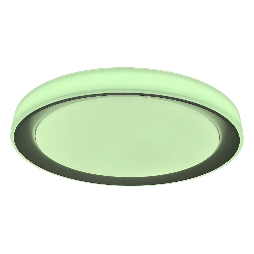 Rabalux - Plafoniera LED RGB dimmerabile LED/40W/230V 2700-6500K Wi-Fi Tuya  + telecomando