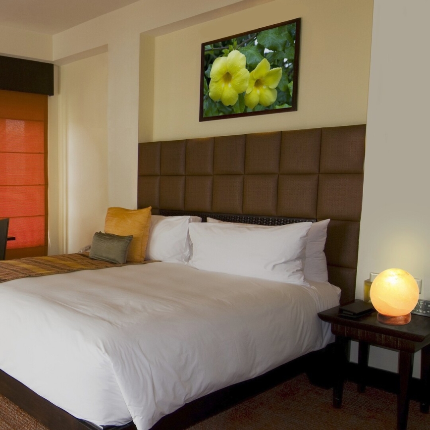 Rabalux - Lampada di sale 1xE14/15W/230V in acacia 2,6 kg