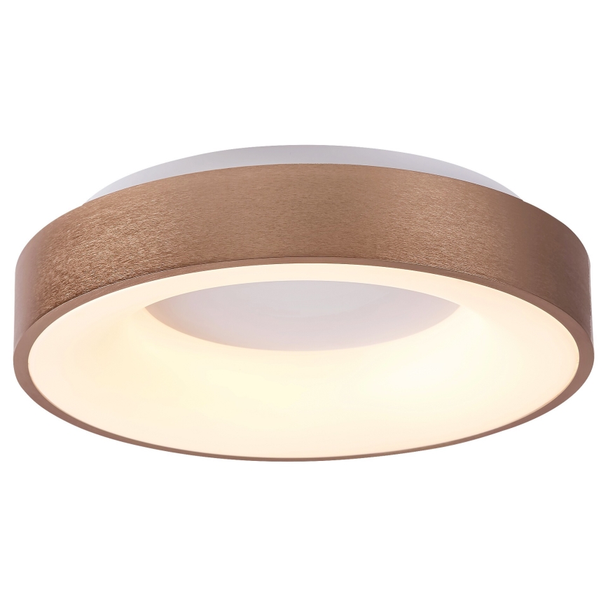 Rabalux 5052 - LED Deckenleuchte CARMELA LED/30W/230V