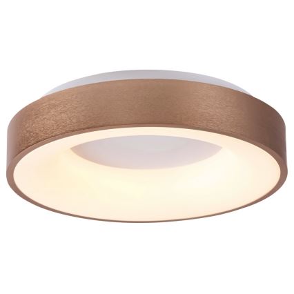 Rabalux 5053 - LED Deckenleuchte CARMELA LED/50W/230V