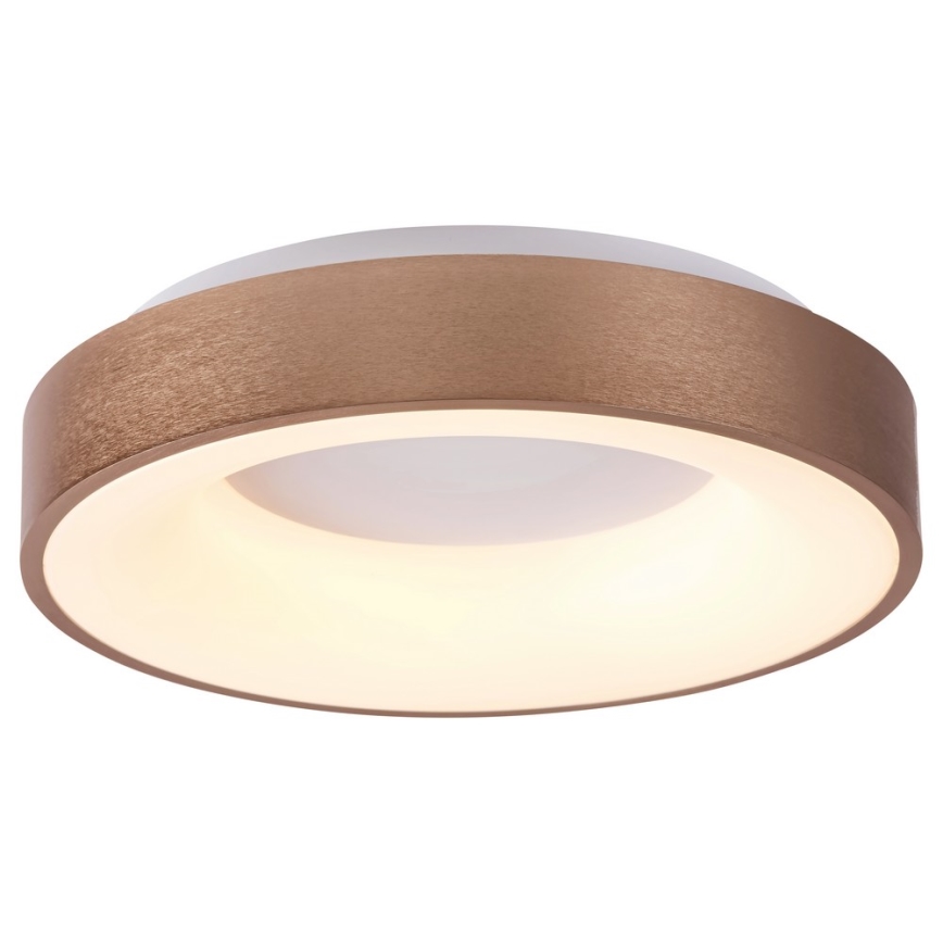 Rabalux 5053 - LED Deckenleuchte CARMELA LED/50W/230V