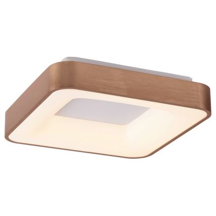 Rabalux - LED-Deckenleuchte CARMELA LED/30W/230V 40x40 cm