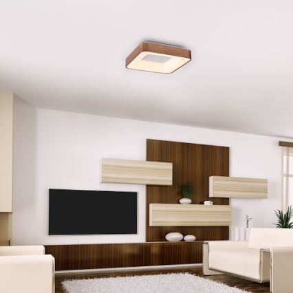 Rabalux - LED-Deckenleuchte CARMELA LED/30W/230V 40x40 cm