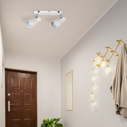 Rabalux - Deckenstrahler 2xE27/20W/230V